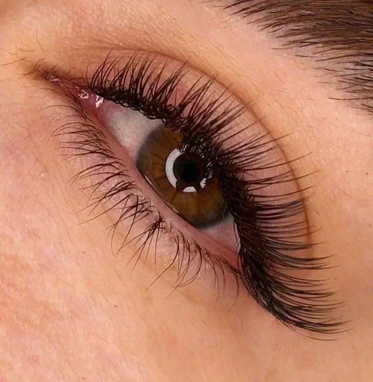 لیفت مژه|خدمات آرایشگری و زیبایی|مشهد, شریف|دیوار