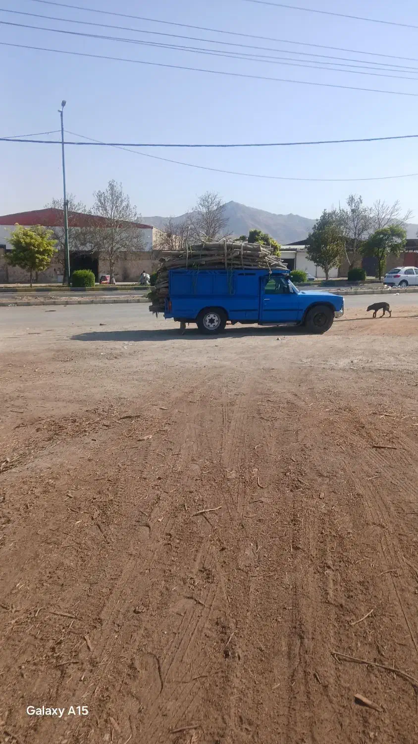 خرید چوب|خدمات باغبانی و درختکاری|ملایر, |دیوار