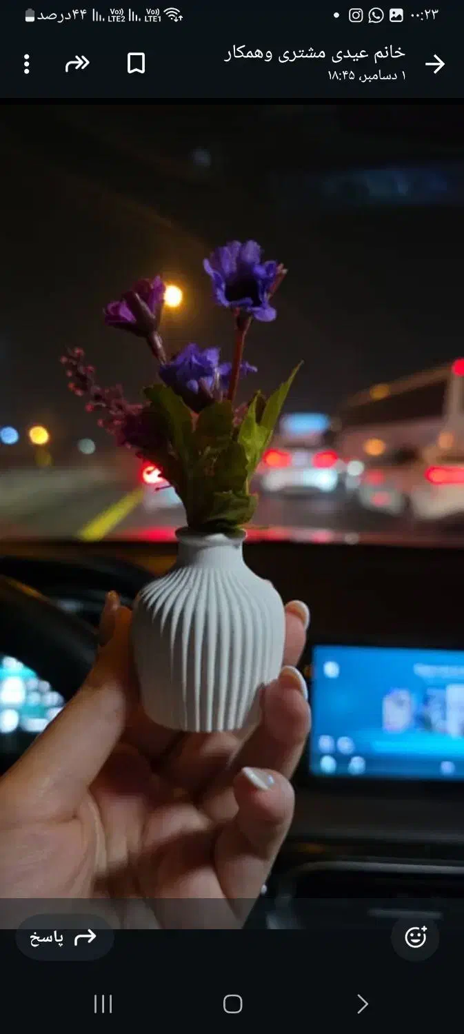 مراکشی گلدان ۵سانتی|گل و گیاه طبیعی|مشکین‌دشت, |دیوار