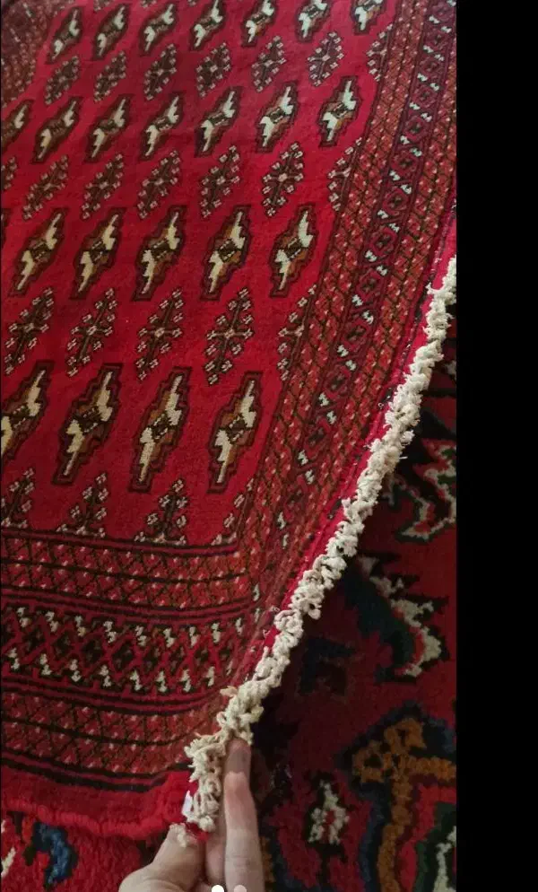فرش پادری دستبافت|گلیم، جاجیم، گبه|مرند, |دیوار