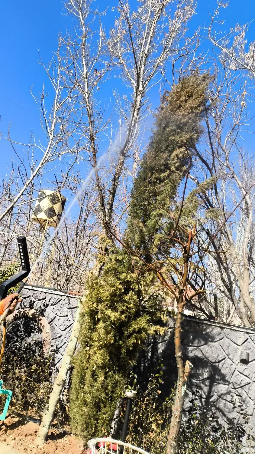 انجام تمامی خدمات باغبانی و فضای سبز ومحوطه|خدمات باغبانی و درختکاری|شیراز, شهرک گلستان|دیوار