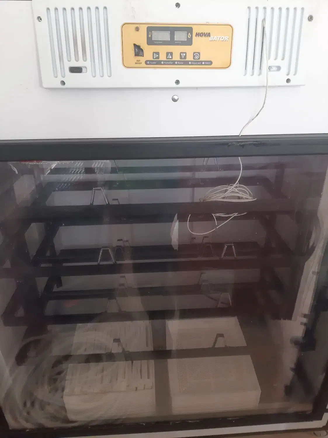 دستگاه جوجه کشی اسکندری|لوازم جانبی حیوانات|شاهین دژ, |دیوار