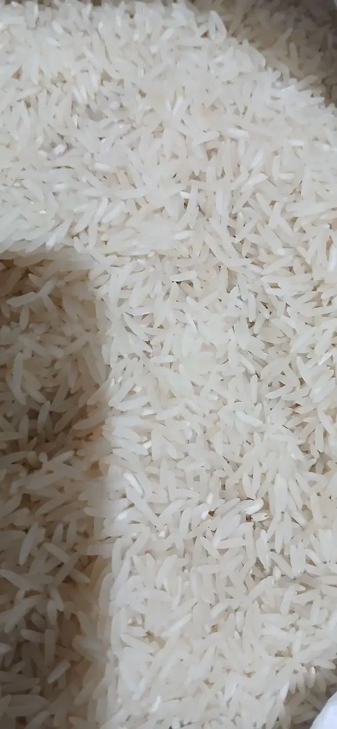برنج فجر سوزنی|خوردنی و آشامیدنی|علیآباد کتول, |دیوار