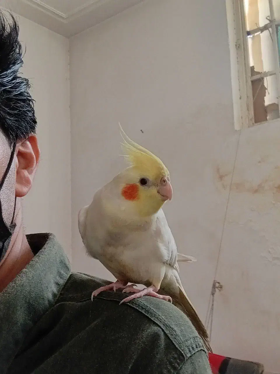 گمشده|اشیا|قم, شهرک توانیر|دیوار