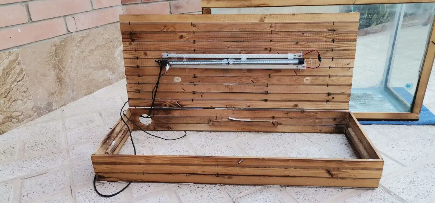 آکواریوم|ماهی|محمدیه-قزوین, |دیوار