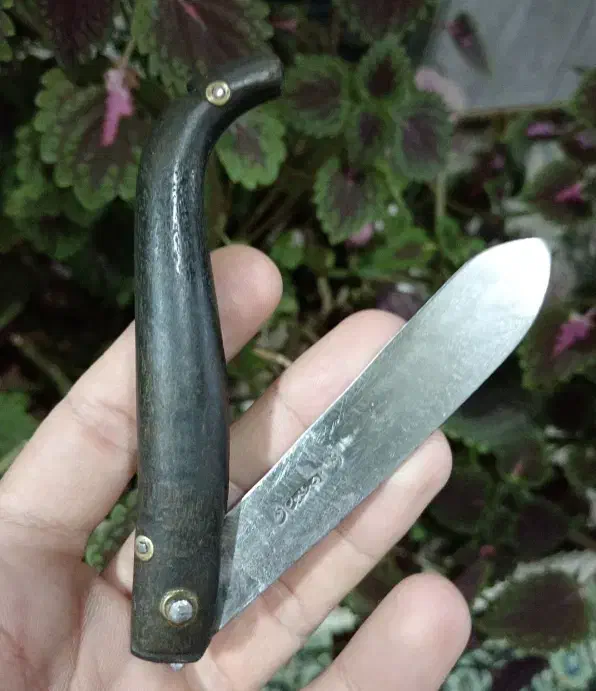 چاقو کهنه|کوهنوردی و کمپینگ|نجفآباد, امام خمینی|دیوار