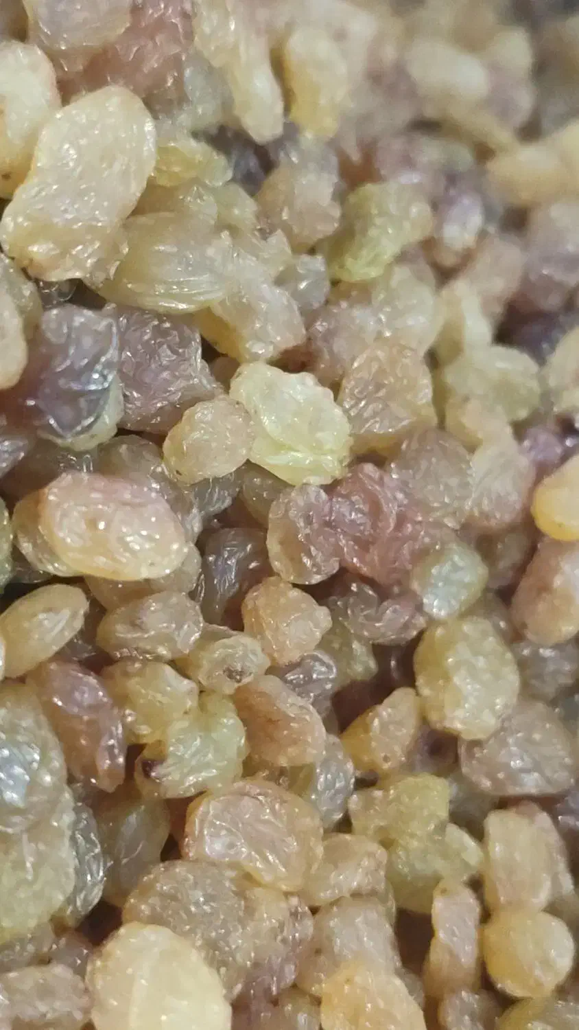 کشمش درجه یک|خوردنی و آشامیدنی|اهواز, گلستان|دیوار