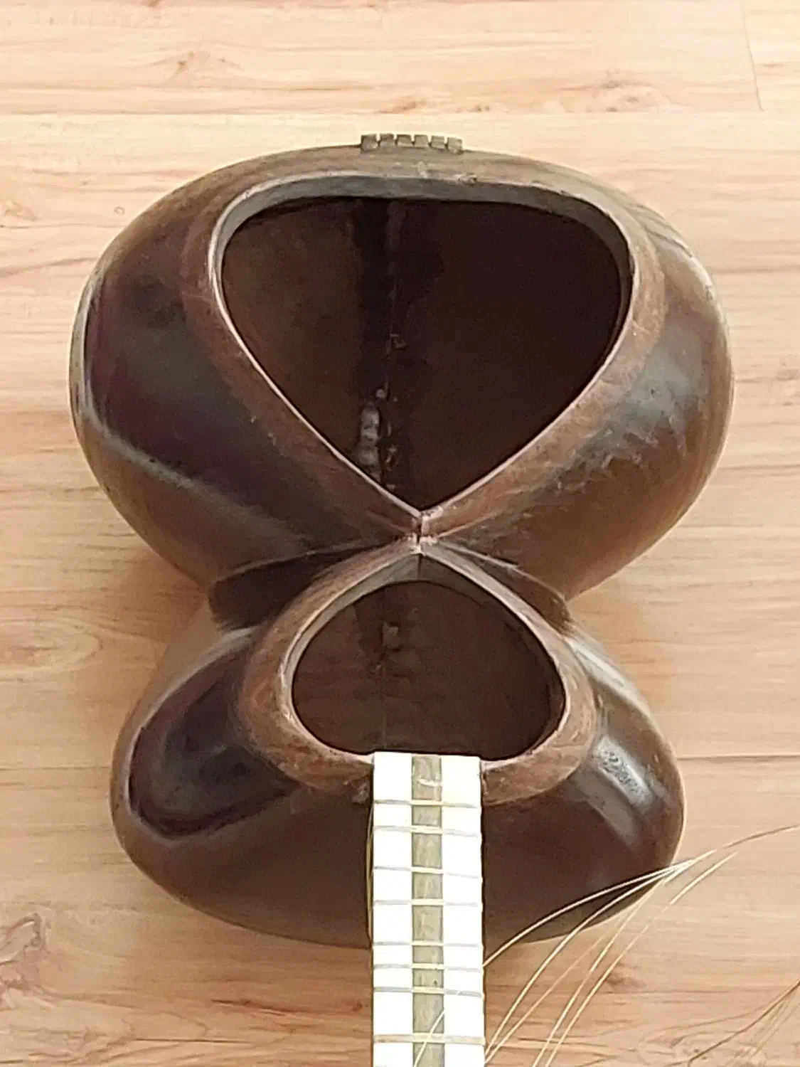 تار قدیمی حرفه‌ای|سازهای سنتی|تهران, جنت‌آباد مرکزی|دیوار