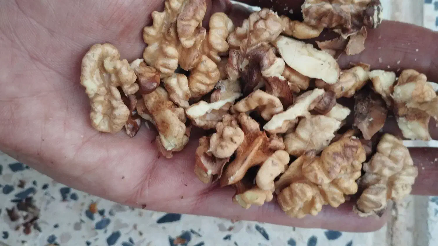 گردو محلی معاوضه با برنج|خوردنی و آشامیدنی|نورآباد ممسنی, |دیوار