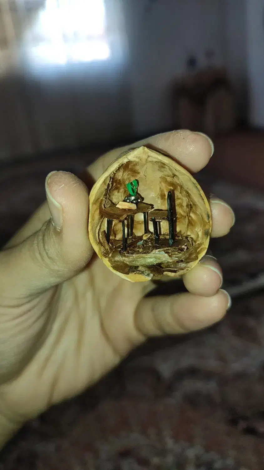 گردو مینیاتوری 80تومن|صنایع دستی و سایر لوازم تزئینی|آمل, |دیوار