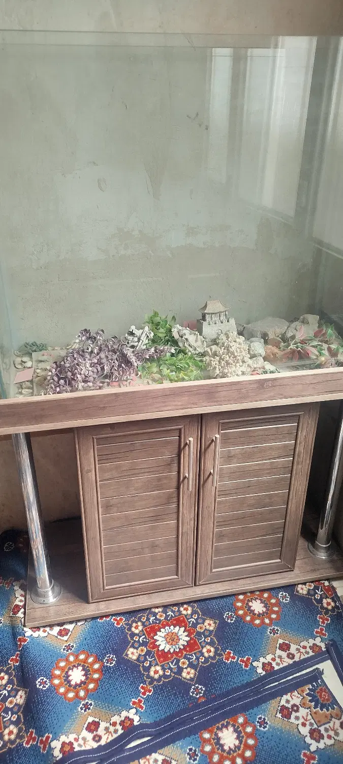 خانگی|ماهی|نورآباد, |دیوار