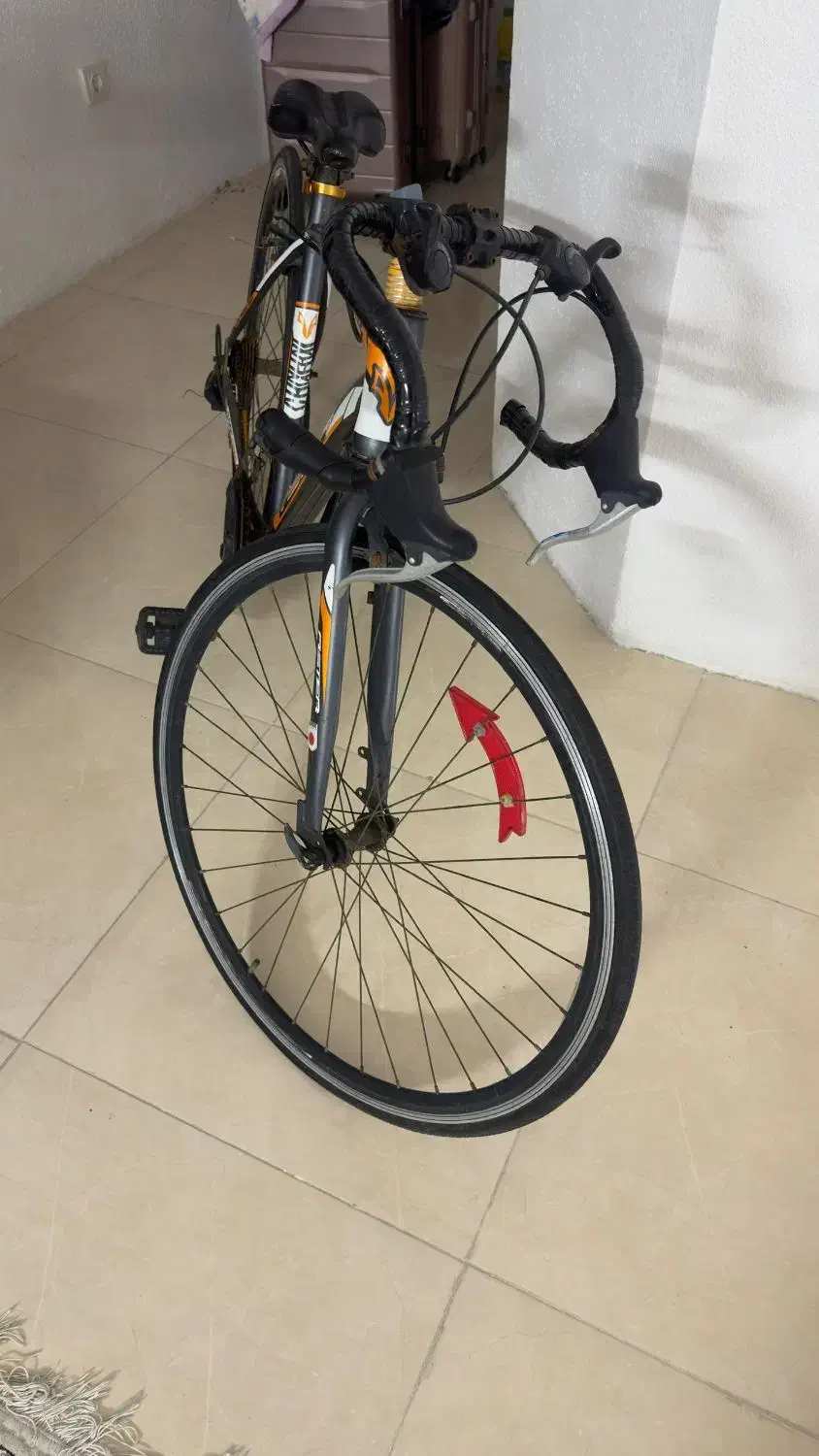 دوچرخه کورسی فوری|دوچرخه، اسکیت، اسکوتر|کیش, |دیوار