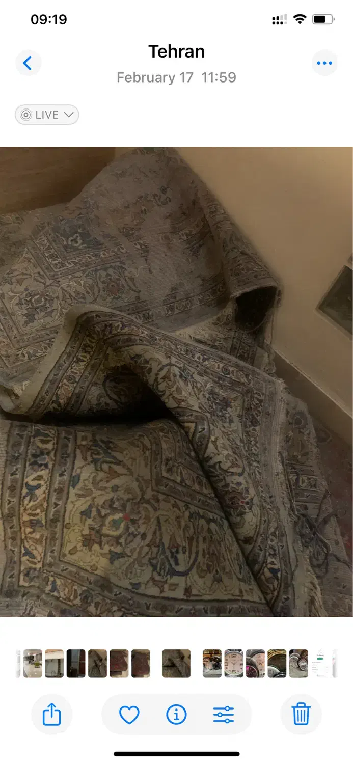 فرش دستباف|فرش|تهران, قبا|دیوار