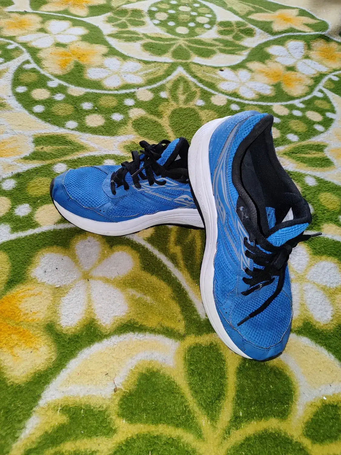 کفش ساکنی اورجینال|کیف، کفش، کمربند|کبودرآهنگ, |دیوار