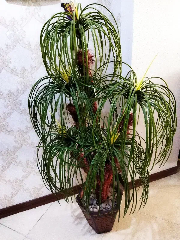 نخل مصنوعی|گل مصنوعی|فولادشهر, C3|دیوار