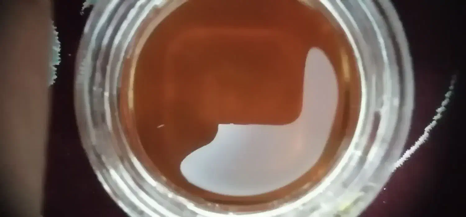 عسل|خوردنی و آشامیدنی|سبزوار, امیر کبیر|دیوار