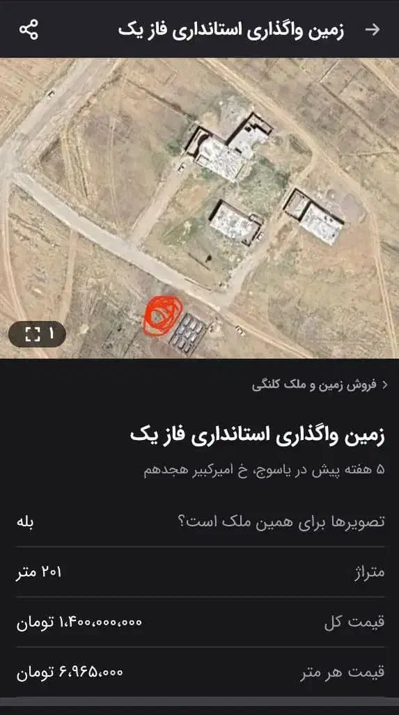 تیم پیاز|خوردنی و آشامیدنی|چاروسا, |دیوار