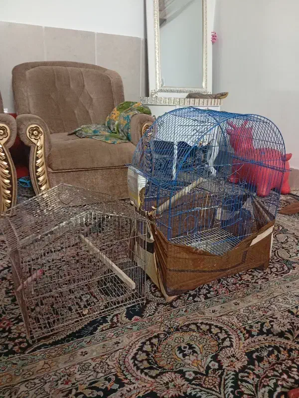 قفس پرنده|لوازم جانبی حیوانات|مشهد, تلگرد|دیوار