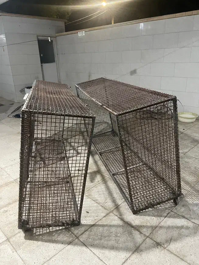 قفس آهنی مرغ و کبوتر|لوازم جانبی حیوانات|خرمشهر, |دیوار