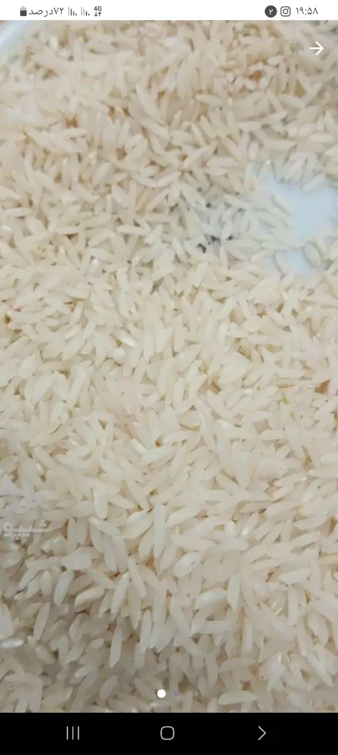 برنج هاشمی منطقه دره رود|خوردنی و آشامیدنی|انگوت, |دیوار