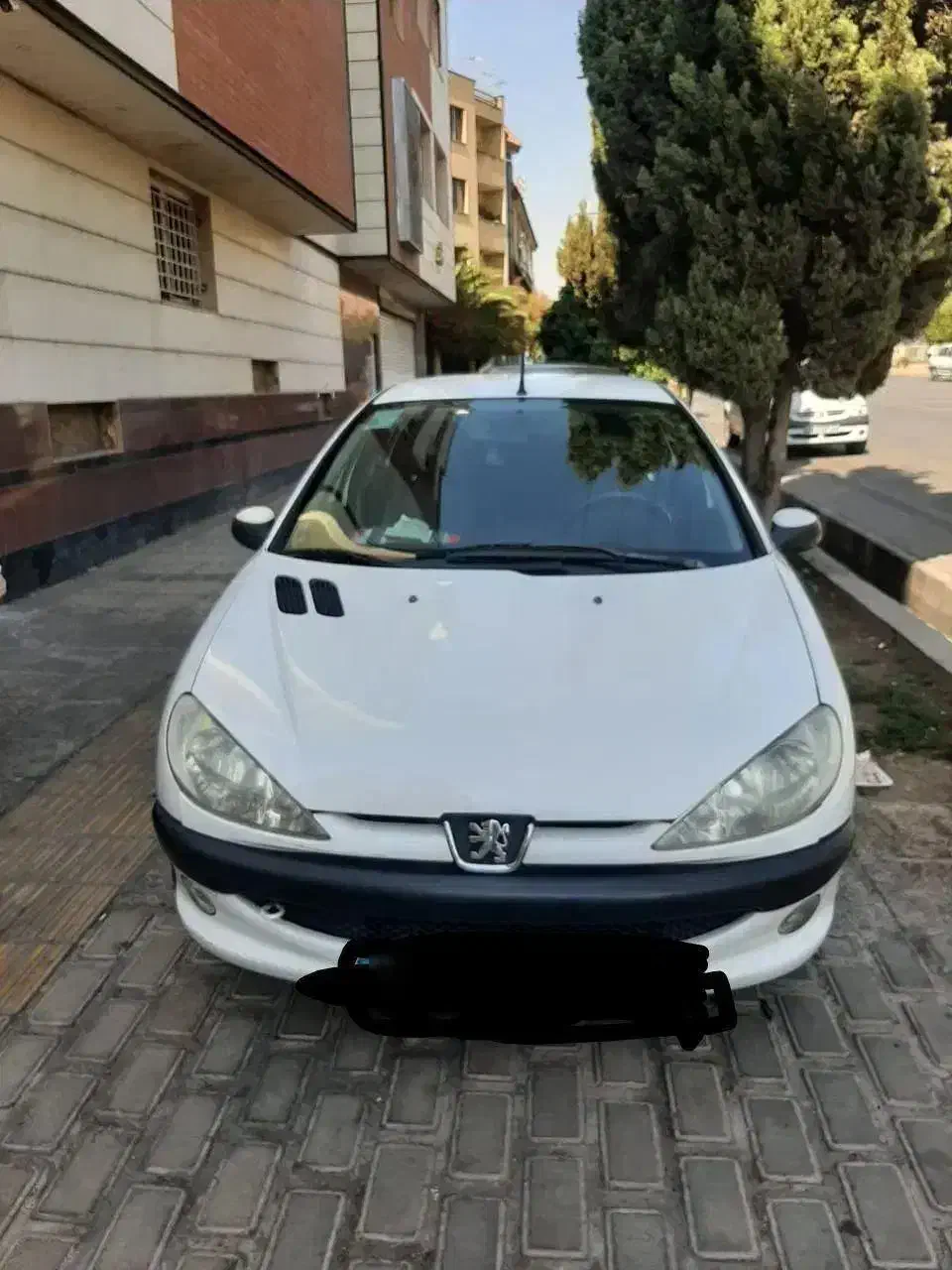 فروش  206sd v8|خودرو سواری و وانت|شیراز, شهرک بهشتی|دیوار