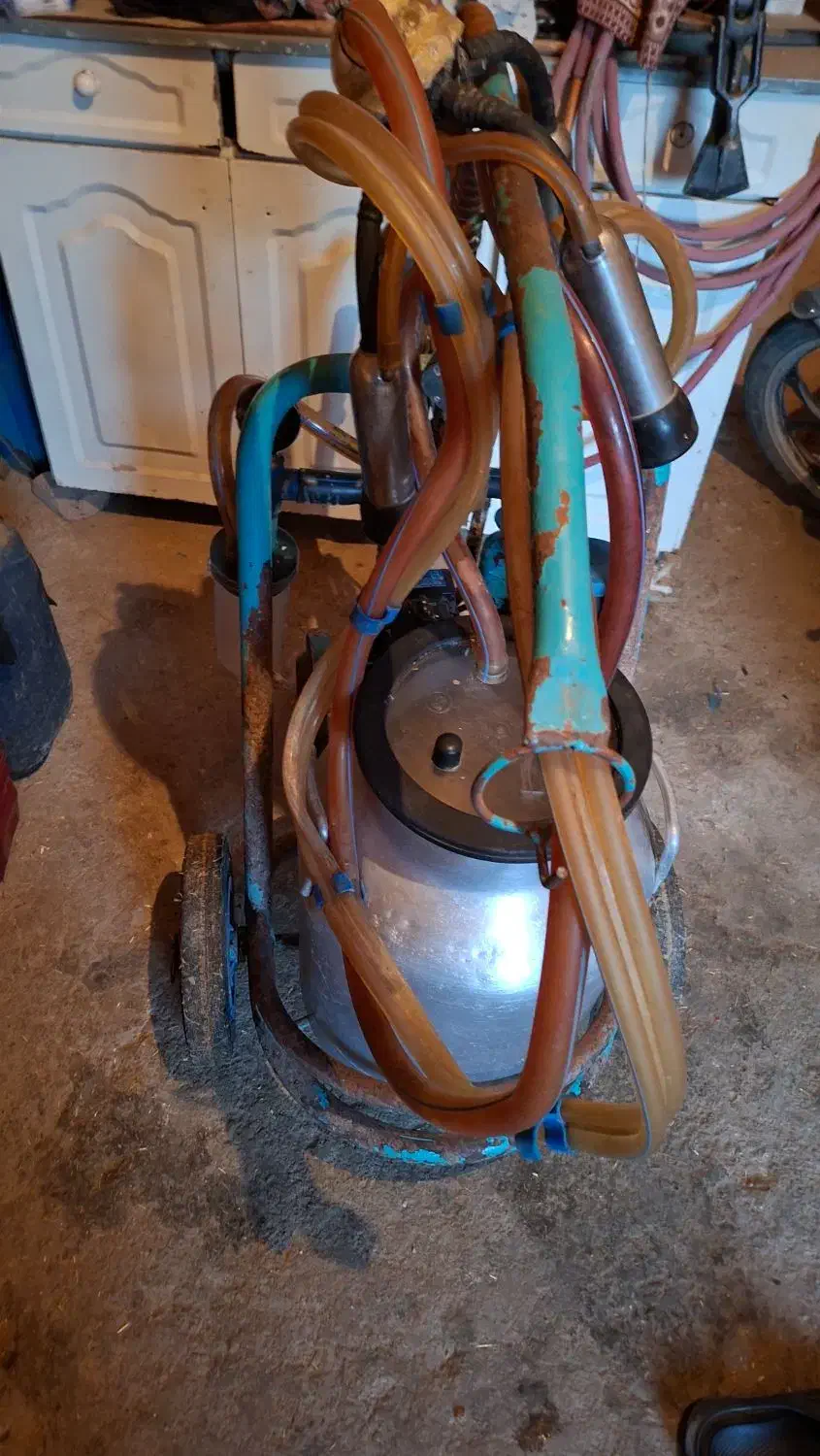 شیر دوش|لوازم جانبی حیوانات|سیلاخور, |دیوار