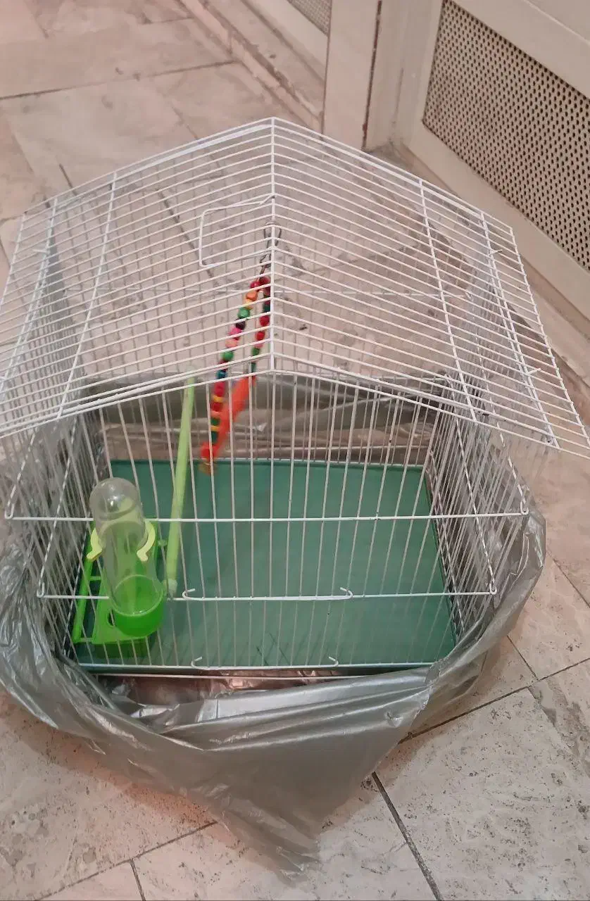 قفس پرنده|لوازم جانبی حیوانات|تهران, جوانمردان (اندیشه)|دیوار