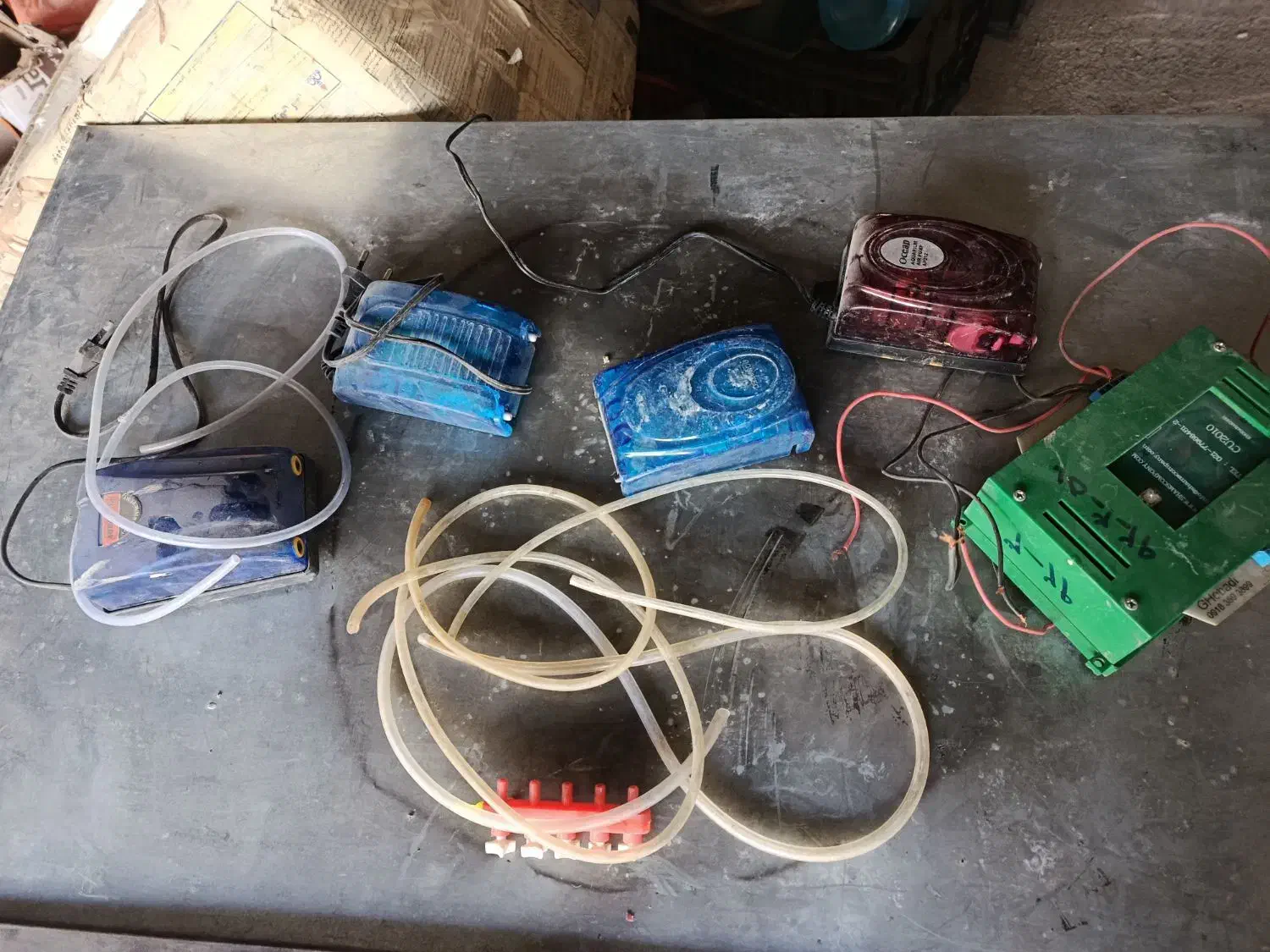 تنگ ماهی|ماهی|نورآباد, |دیوار