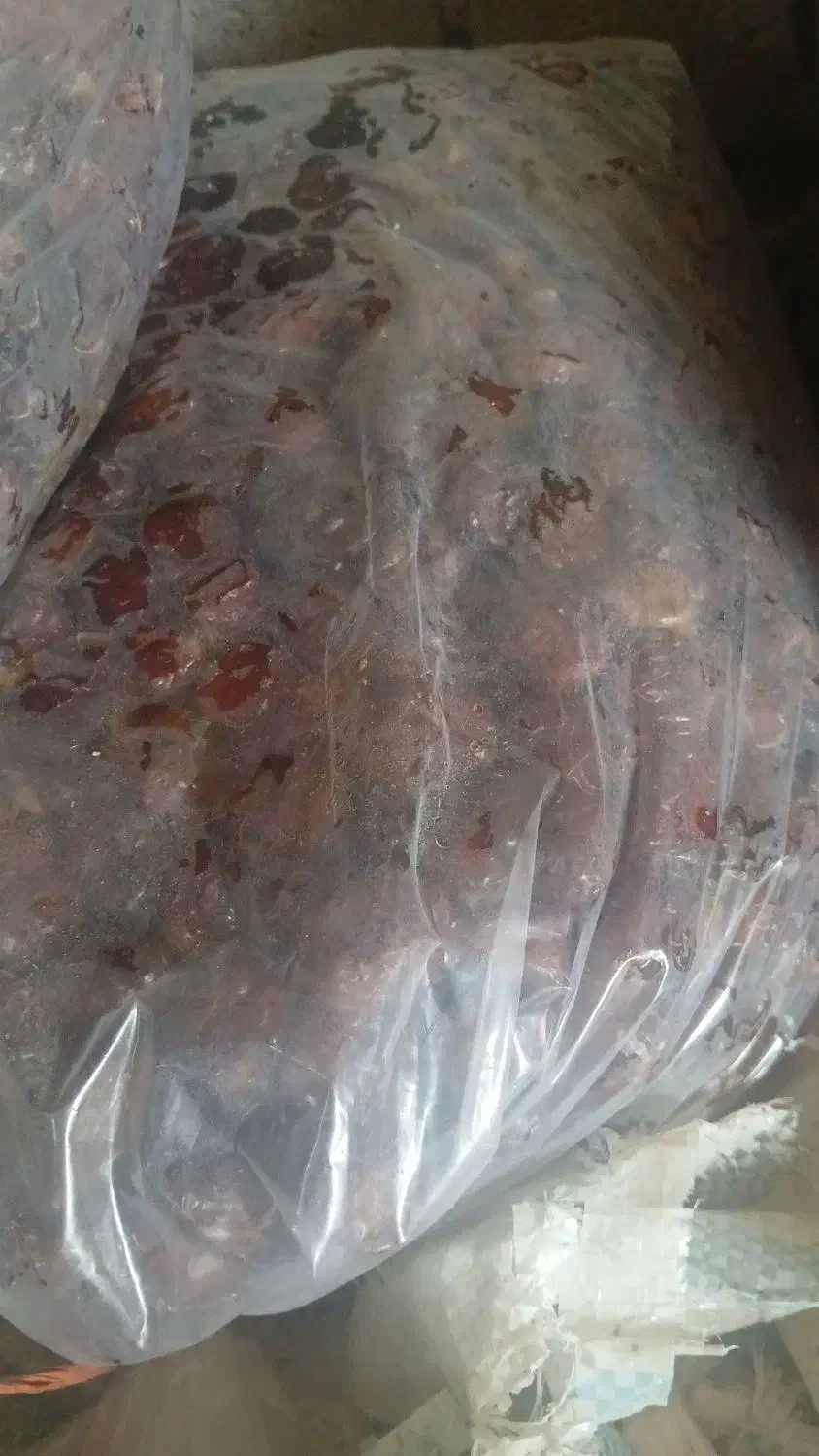 خرما دونه و شیره دار...|عمده‌فروشی|میناب, |دیوار