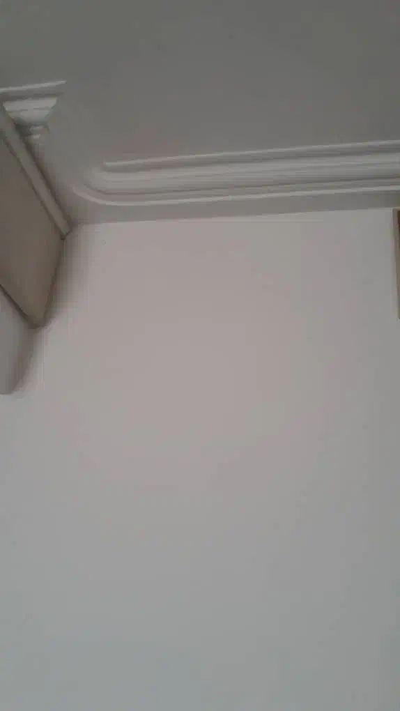 استا گچکار|خدمات پیشه و مهارت|بم, |دیوار