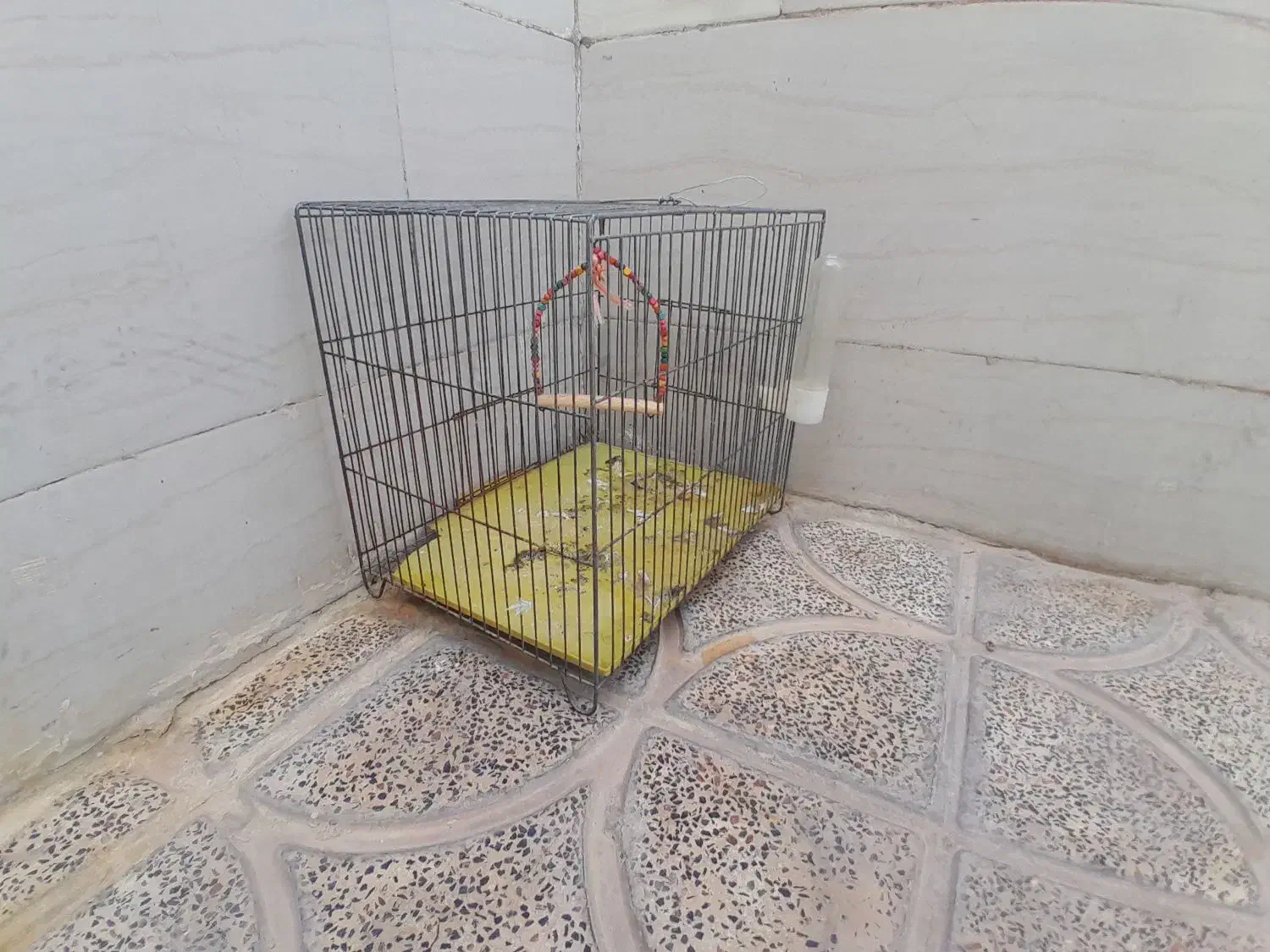 قفس|لوازم جانبی حیوانات|رومشکان, |دیوار