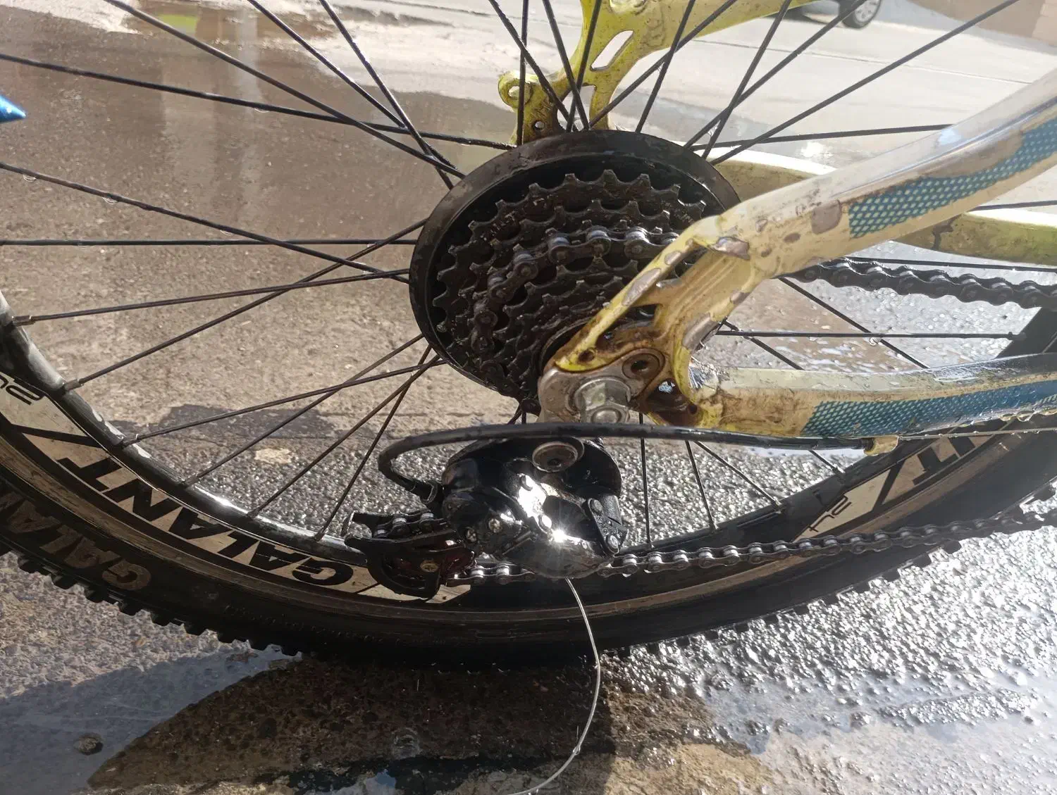 دوچرخه 24گالانت|دوچرخه، اسکیت، اسکوتر|قدس, شهرقدس|دیوار