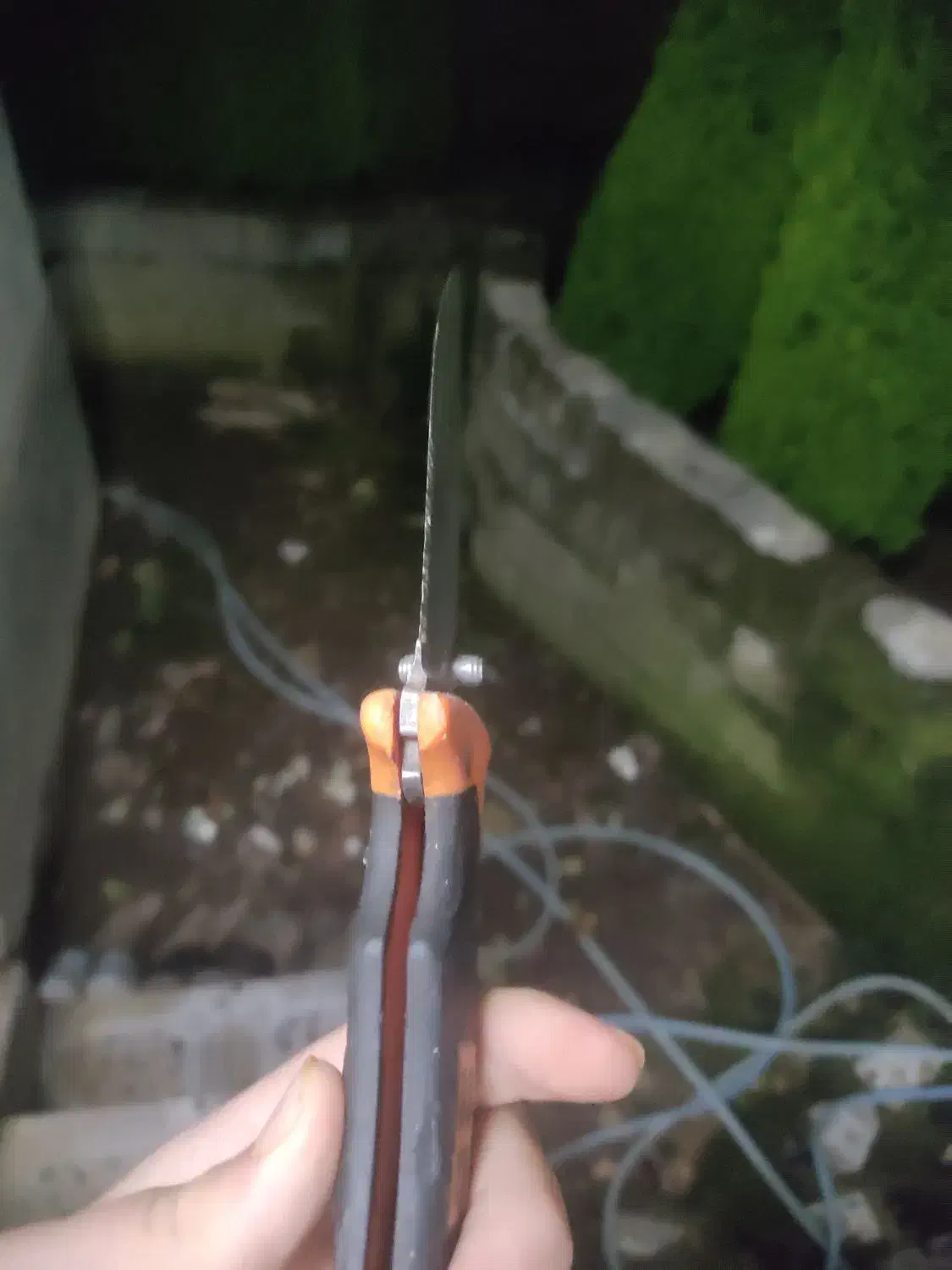 چاقو|کوهنوردی و کمپینگ|کلاچای, |دیوار