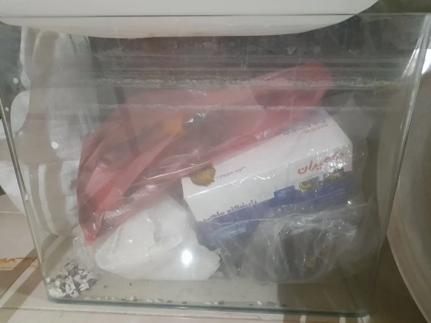 ماهی|ماهی|گلپایگان, |دیوار