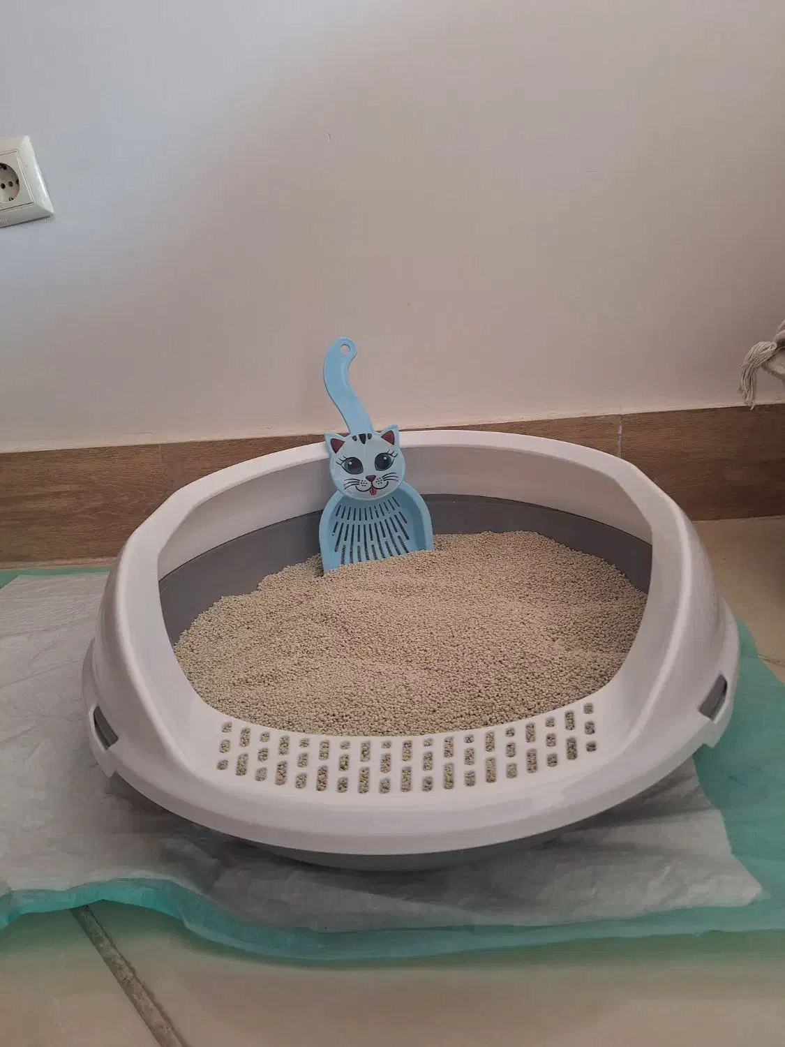ظرف خاک گربه|لوازم جانبی حیوانات|لاهیجان, کوی زمانی|دیوار