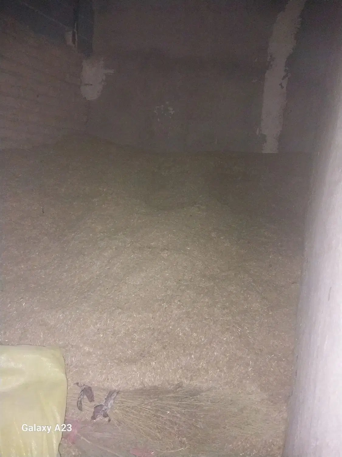 جو  و کاه گندم و عدس|عمده‌فروشی|شیروان (خراسان), |دیوار