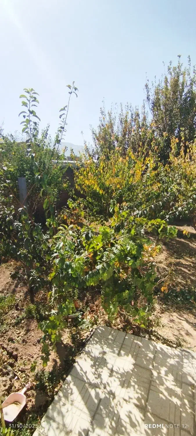 خانه ویلایی|فروش خانه و ویلا|شازند, |دیوار