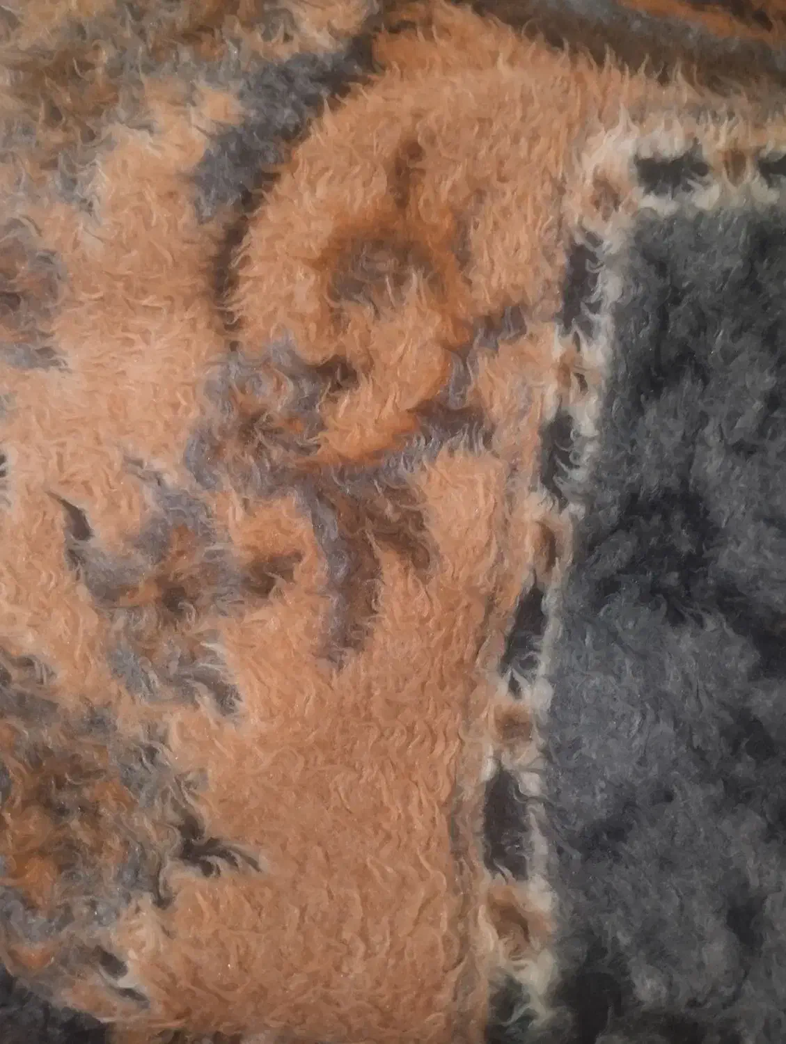 پتو سالم|رختخواب، بالش، پتو|خوی, |دیوار