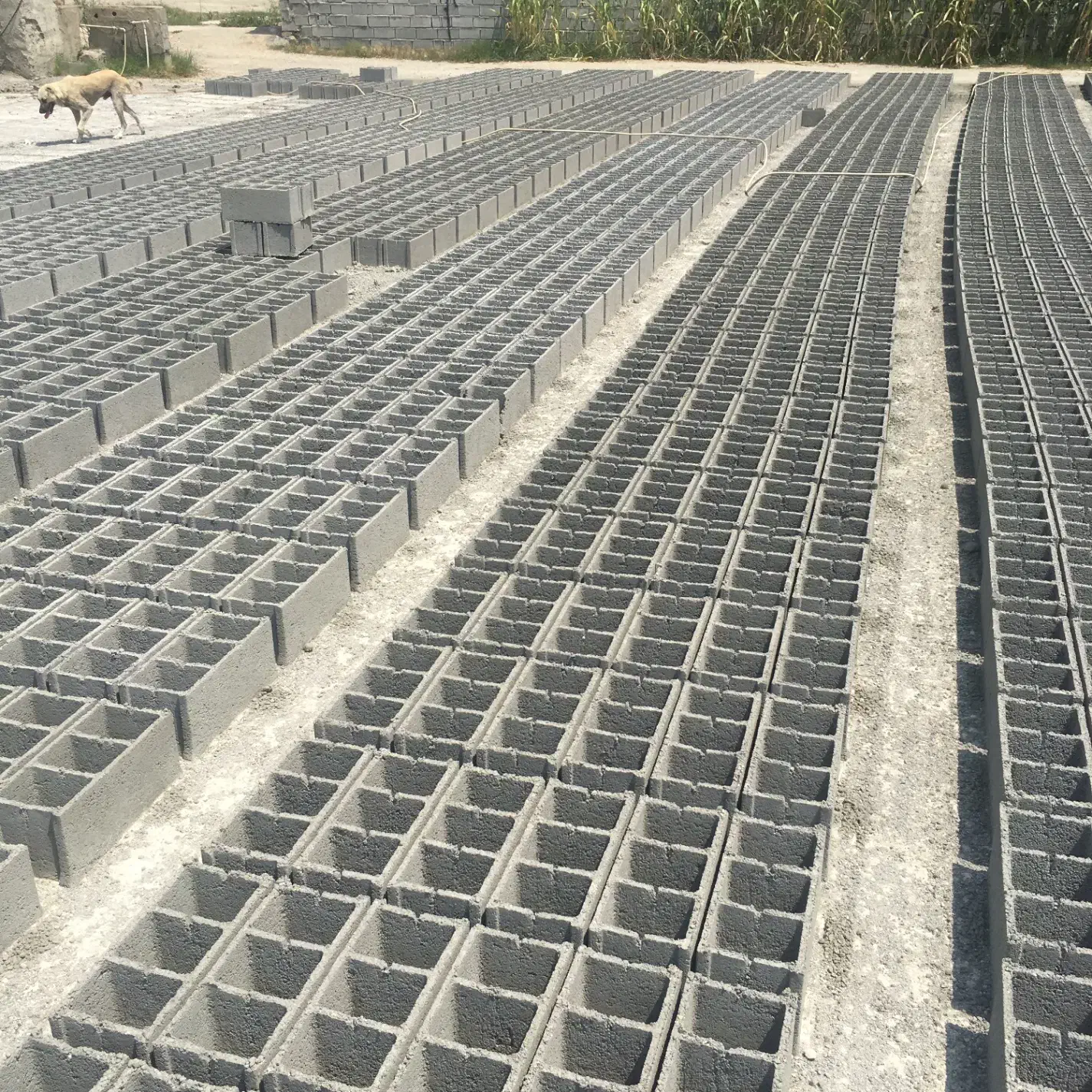 بلوک سیمانی|مصالح و تجهیزات ساختمان|کردکوی, |دیوار