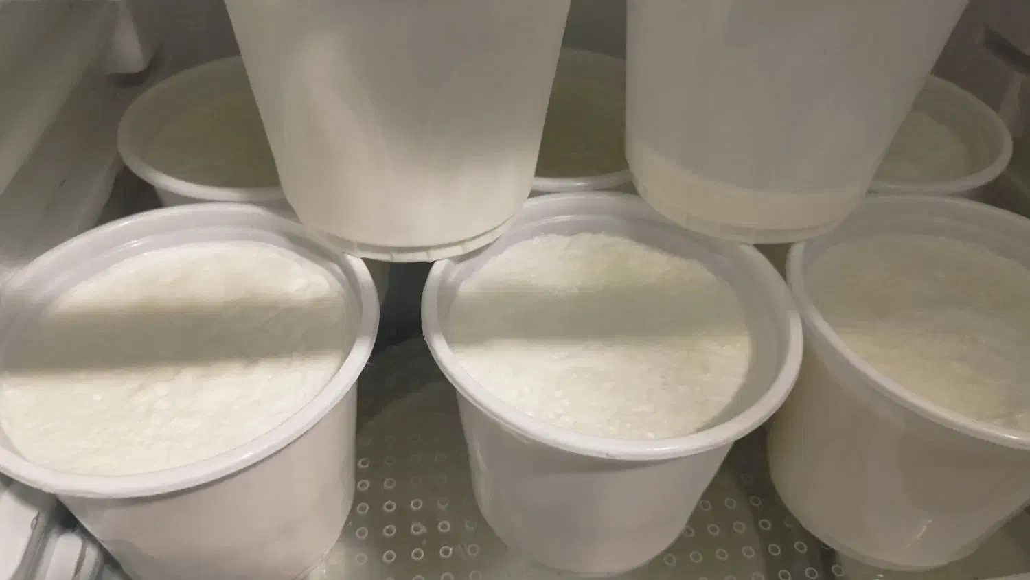 ماست گاومیش همه روزه موجود داریم|خوردنی و آشامیدنی|میاندوآب, |دیوار