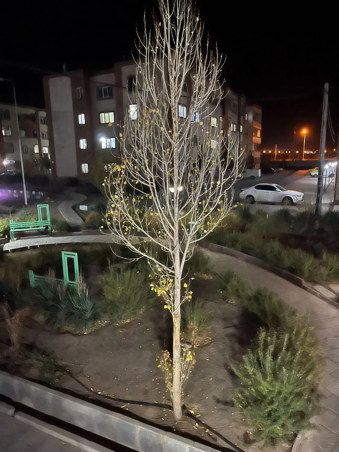 ولیعصر3.متراژ103متر.واحدمنحصربه فردجمهوری|فروش آپارتمان|گلبهار, شهر جدید گلبهار|دیوار