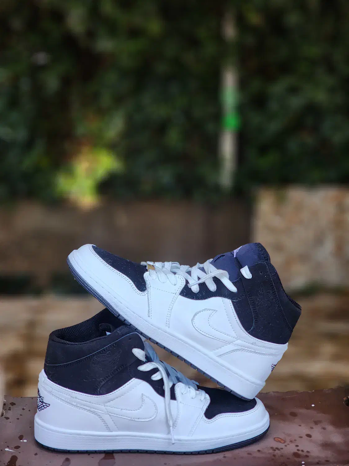 کفش|کیف، کفش، کمربند|شاهین‌شهر, خبرنگار|دیوار