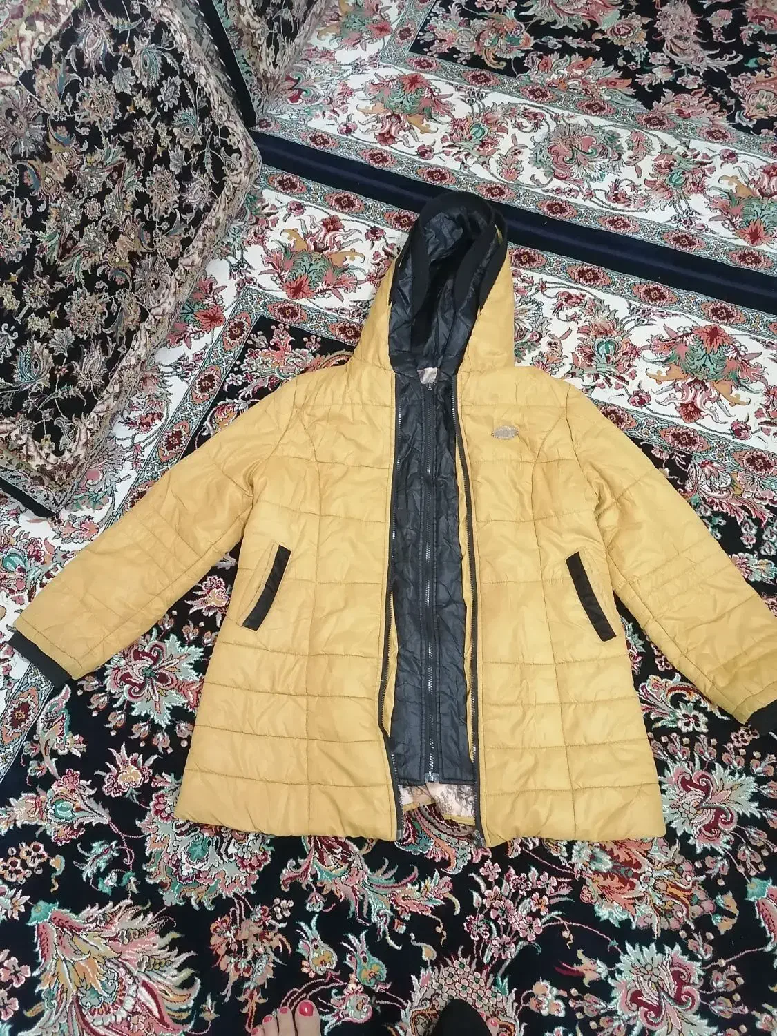 کت ،کاپشن|لباس|سنندج, |دیوار