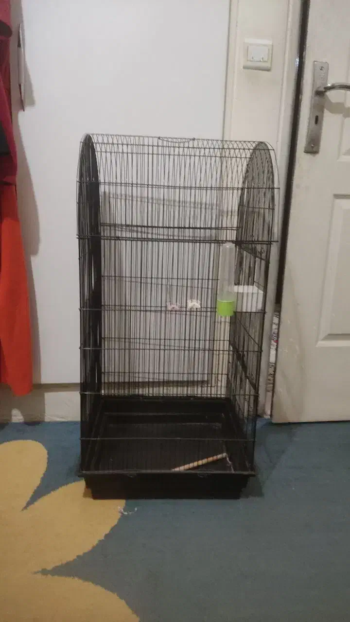 قفس و لوازم|لوازم جانبی حیوانات|محمدشهر, شهرک پیام (مهرالبرز)|دیوار