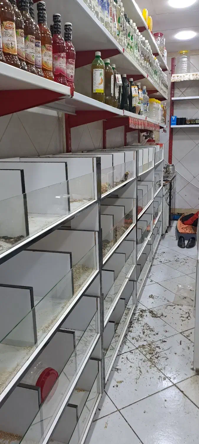 واگذاری و فروش وسایل عطاری|فروشگاه و مغازه|کرج, باغستان|دیوار