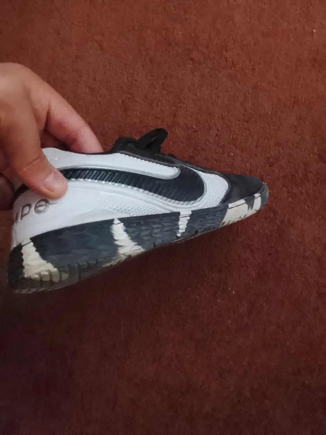 کفش سالنی اصل|کیف، کفش، کمربند|سبزوار, توحیدشهر|دیوار