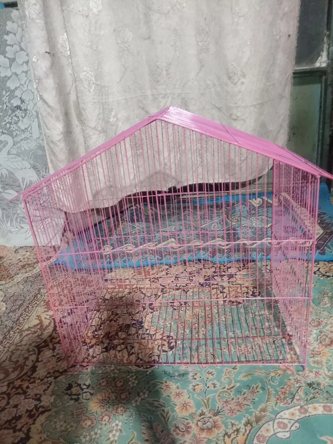 دوعددقفس پرنده. مرغ عشق قناری یاطوطی|لوازم جانبی حیوانات|بم, |دیوار