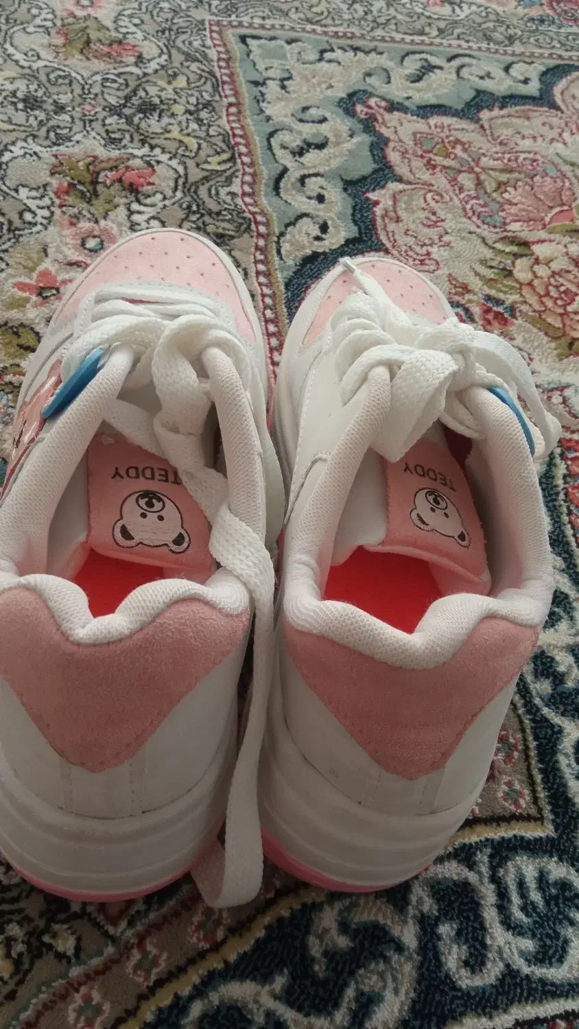 کفش تربت حیدریه|کیف، کفش، کمربند|تربتحیدریه, شهرک ولیعصر|دیوار