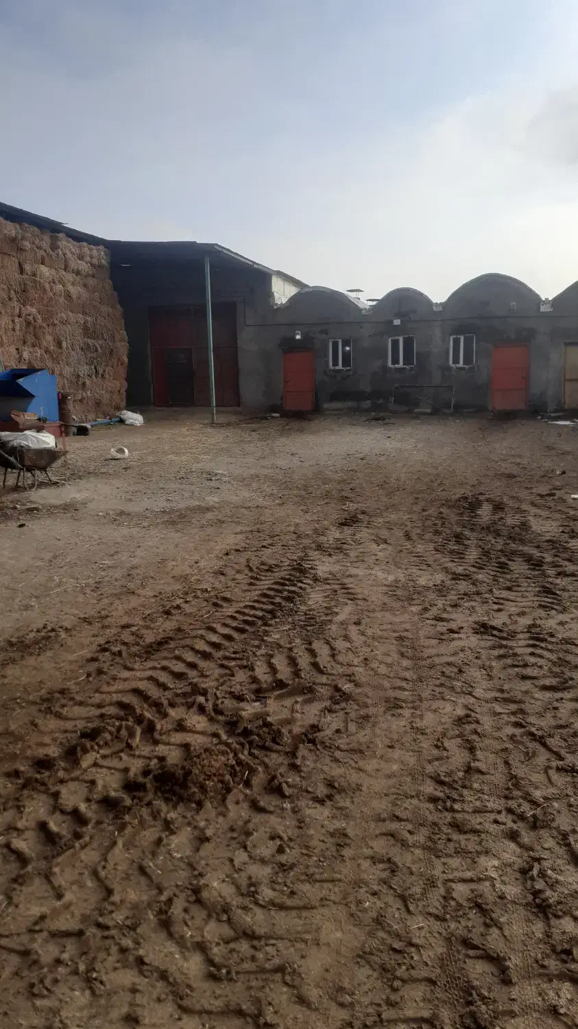 یک دستگاه دامداری 200راسه|فروش دفتر صنعتی، کشاورزی، تجاری|اردبیل, |دیوار