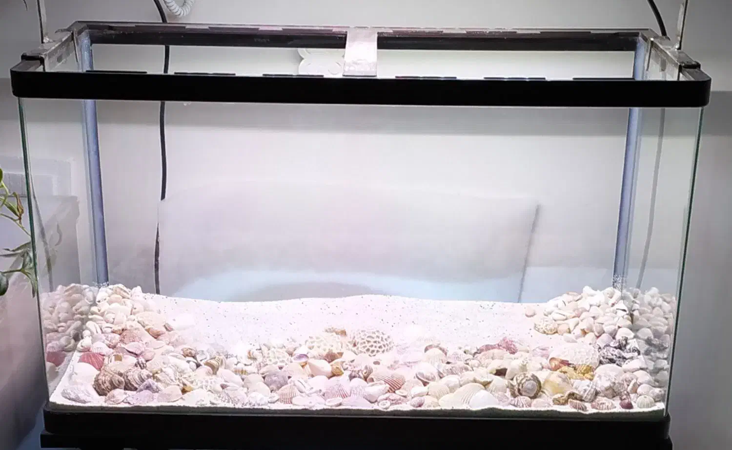 آکواریوم شرکتی خارجی|ماهی|امیدیه, |دیوار